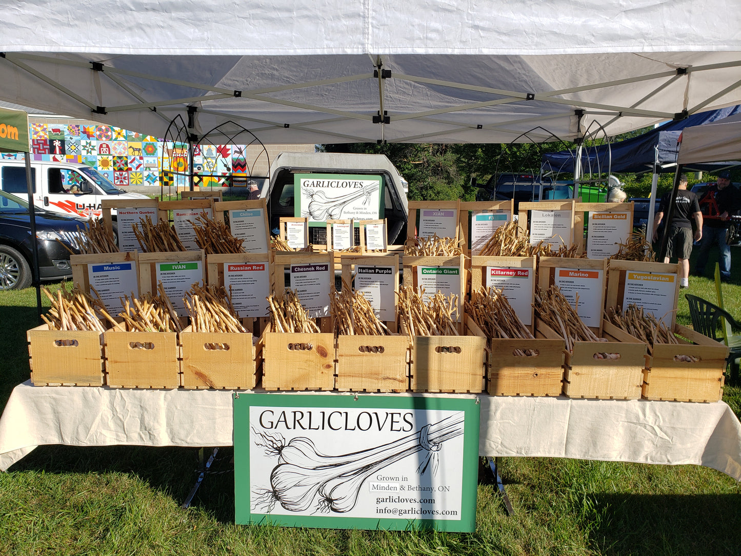 2023 GARLIC HARVEST