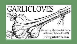 Garlicloves, Ontario garlic farmers. The best garlic to grow in Ontario. The best tasting garlic. Seed garlic, Garlic with strings, Kawartha Lakes garlic, Haliburton Garlic - Minden Garlic, Bethany Garlic, Lindsay Garlic