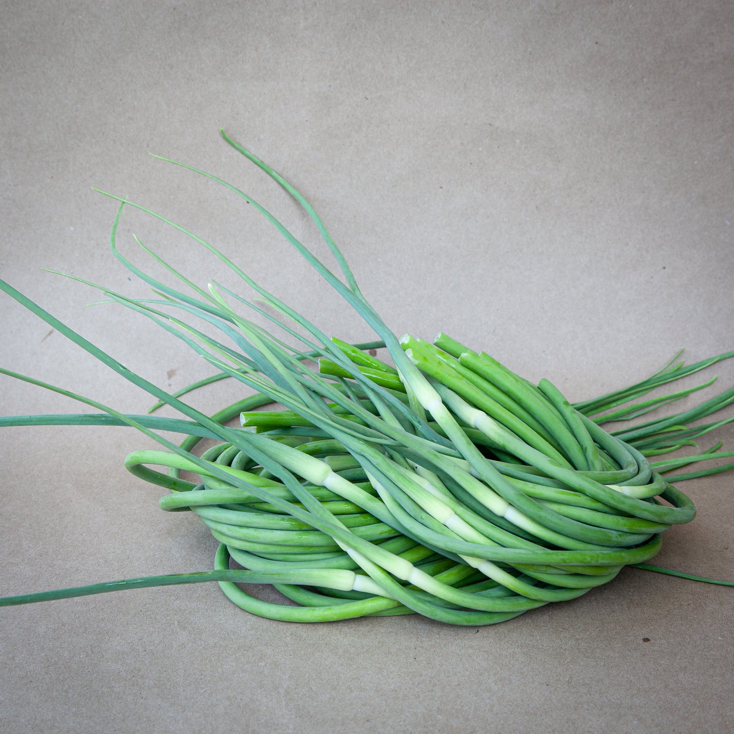 Garlic Scapes