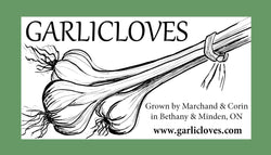 Garlicloves, Ontario garlic farmers. The best garlic to grow in Ontario. The best tasting garlic. Seed garlic, Garlic with strings, Kawartha Lakes garlic, Haliburton Garlic - Minden Garlic, Bethany Garlic, Lindsay Garlic 