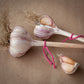 Ajo Rojo, Creole garlic with a dark pink string, grown in Ontario by Garlicloves