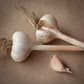 Killarney Red, Rocambole garlic with red/yellow/blue striped string, grown in Ontario by Garlicloves