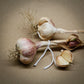 Lokalen, Artichoke, Softneck garlic with a white string, grown in Ontario by Garlicloves