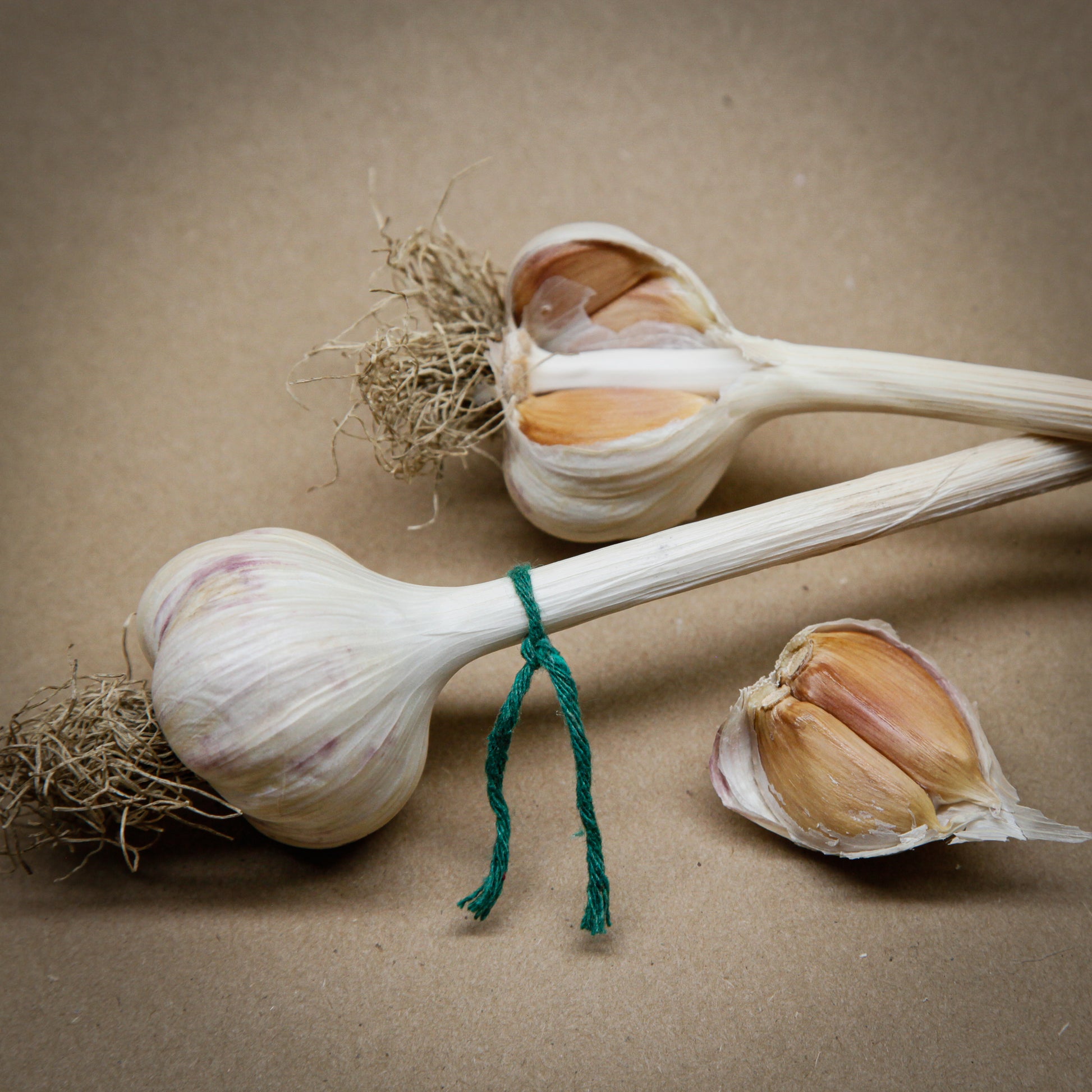 Ontario Giant, Puslinch, Rocambole, garlic with dark green strings, grown in Ontario by Garlicloves